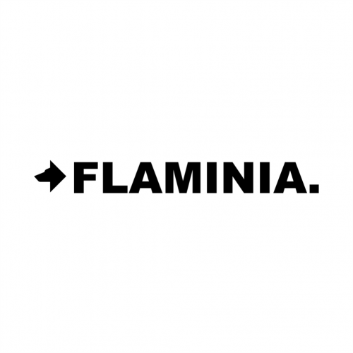 sanitari - flaminia